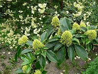 24-05-2006_18-29-07_103