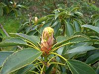 27-04-05canon_038