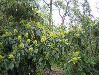 img_0579