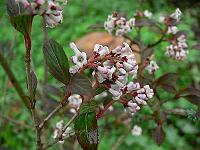 2010-05-13_07-34-08_0004