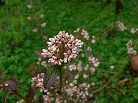 2010-05-13_07-35-08_0017