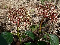 2010-05-04_07-57-41_0133