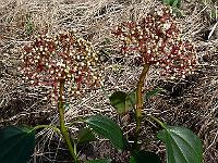 2010-05-05_08-20-24_0098