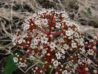 2010-05-18_08-36-35_0028