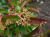 2009-06-11_09-41-29_0140