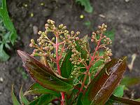 2009-06-11_09-41-53_0146