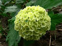2010-05-31_09-13-30_0043
