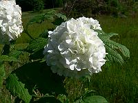 2010-06-16_08-28-42_0089