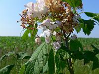 2010-07-03_09-59-40_0048