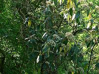 26-05-2006_09-38-26_31