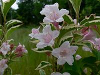 2010-06-26_09-00-38_0103