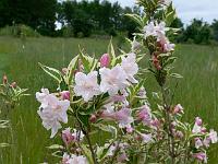 2010-06-26_09-01-28_0107