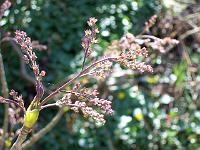 11-04-05kodak_038