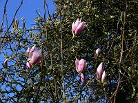 2009-04-19_07-20-49_0014