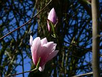 2009-04-19_10-49-48_0155