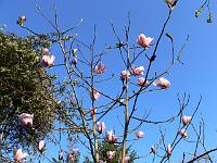 2009-04-21_07-26-54_0064