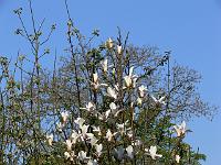 2009-04-30_07-18-14_0115