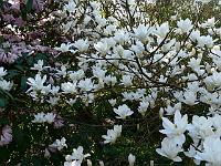 2009-04-21_07-17-48_0007