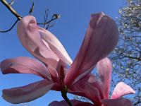 16-04-2007_09-58-13_10