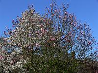 2009-04-19_17-25-15_0038