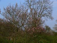 2009-04-14_16-55-10_0104