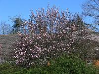 2009-04-21_09-14-36_0080