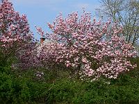 2009-04-26_16-27-52_0286