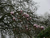 2009-04-14_07-25-11_0040