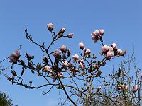 2009-04-14_15-42-09_0027