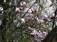 2009-04-14_15-45-32_0054