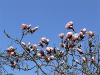 2009-04-16_14-48-10_0079