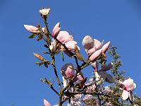 2009-04-18_07-14-41_0072