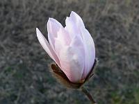 2009-04-19_18-17-53_0090