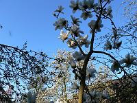 2009-04-17_07-08-29_0046