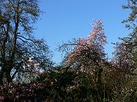 2009-04-18_07-12-42_0052