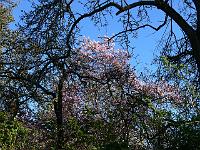 2009-04-18_07-17-47_0088