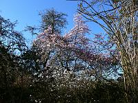 2009-04-19_07-25-52_0047