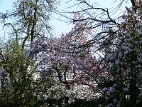 2009-04-21_16-51-38_0060