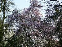 2009-04-21_16-52-33_0066