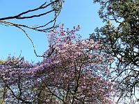 2009-04-21_16-55-27_0087