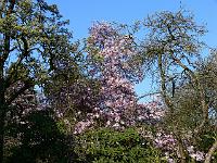 2009-04-21_16-59-16_0107