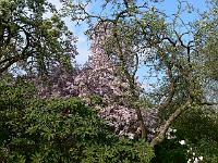 2009-04-26_16-37-09_0338