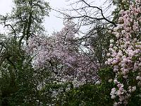 2009-04-27_08-00-52_0034