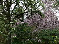 2009-04-28_09-04-22_0089