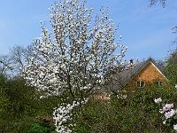 2009-04-16_11-14-35_0046