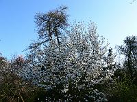 2009-04-17_07-15-37_0102