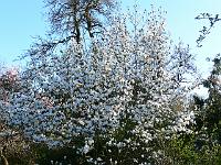 2009-04-18_07-19-47_0111