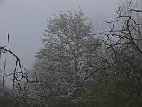 2009-04-13_07-55-22_0131