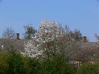 2009-04-16_14-55-24_0127