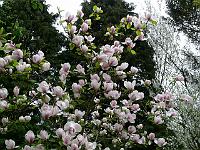 2009-04-28_08-58-06_0069